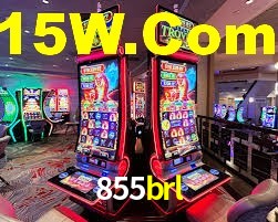 855brl