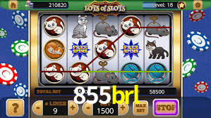 Tournaments 855brl